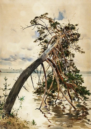 Jezioro Świteź — sceneria ballady „Świtezianka”.